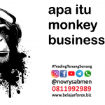 Monkey Business atau Bisnis Monyet dalam Dunia Investasi